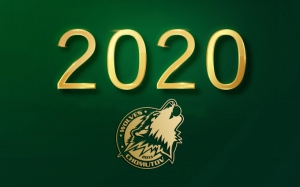 Jaký byl rok 2020 z vlčího pohledu?